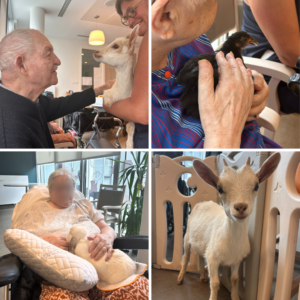  photos résidents et animaux, médiation animale avec La Ferme Ani'may